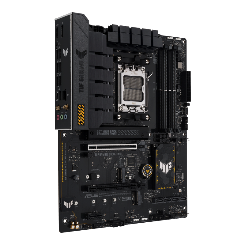 w800 -1-.png