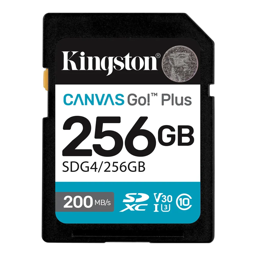SDG4-256GB-zm-lg.png