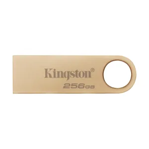 DTSE9G3-256GB-zm-lg.png