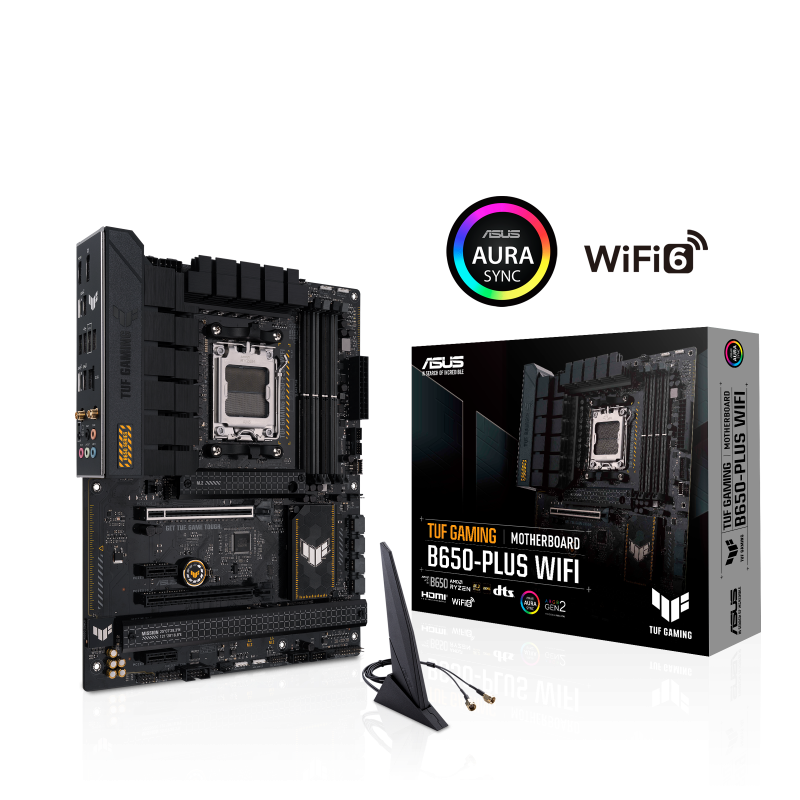 w800 -3-.png