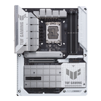 w800 -3-.png