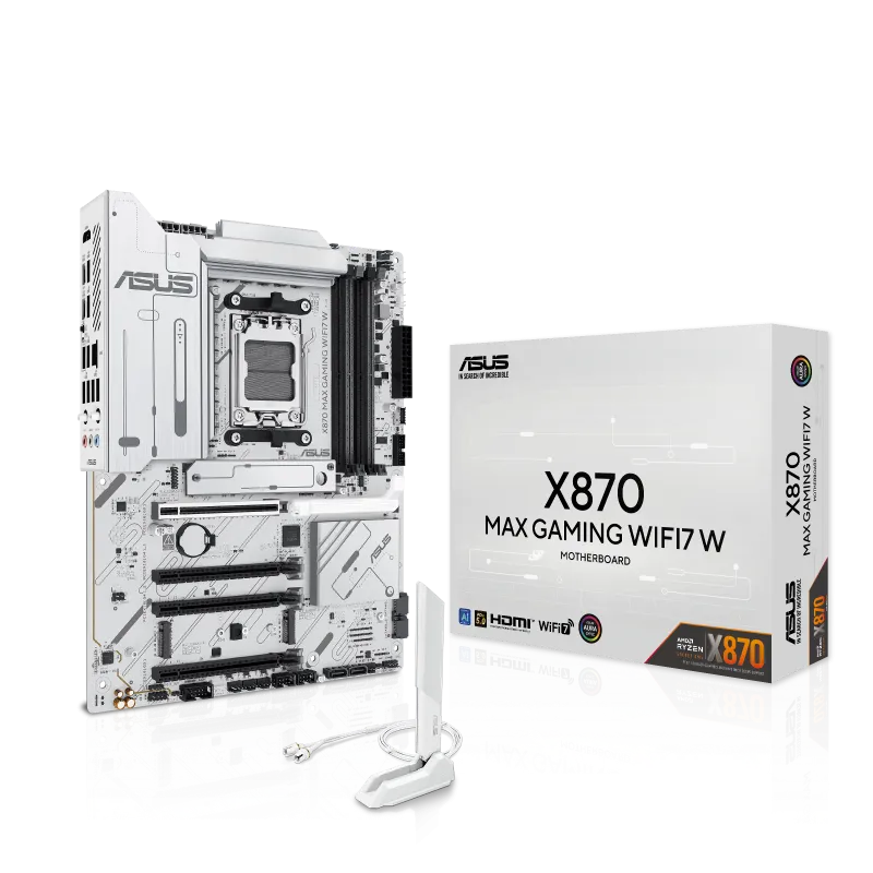 w800 -7-.png